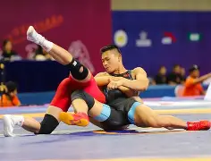 安徽省摔跤队名单一览表   安徽省摔跤队名单一览表